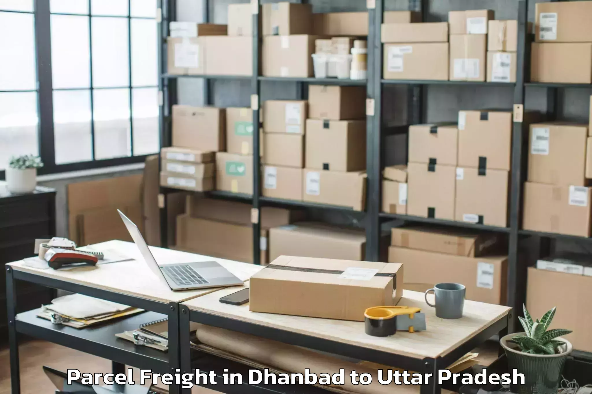 Quality Dhanbad to Manjhanpur Parcel Freight